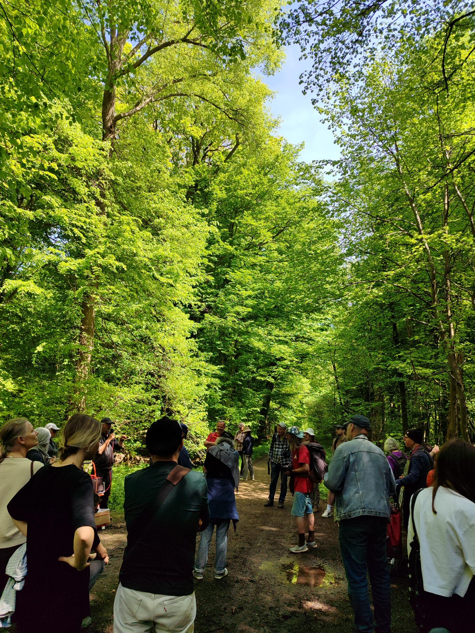 Teilnahme am Waldspaziergang am Hambi
