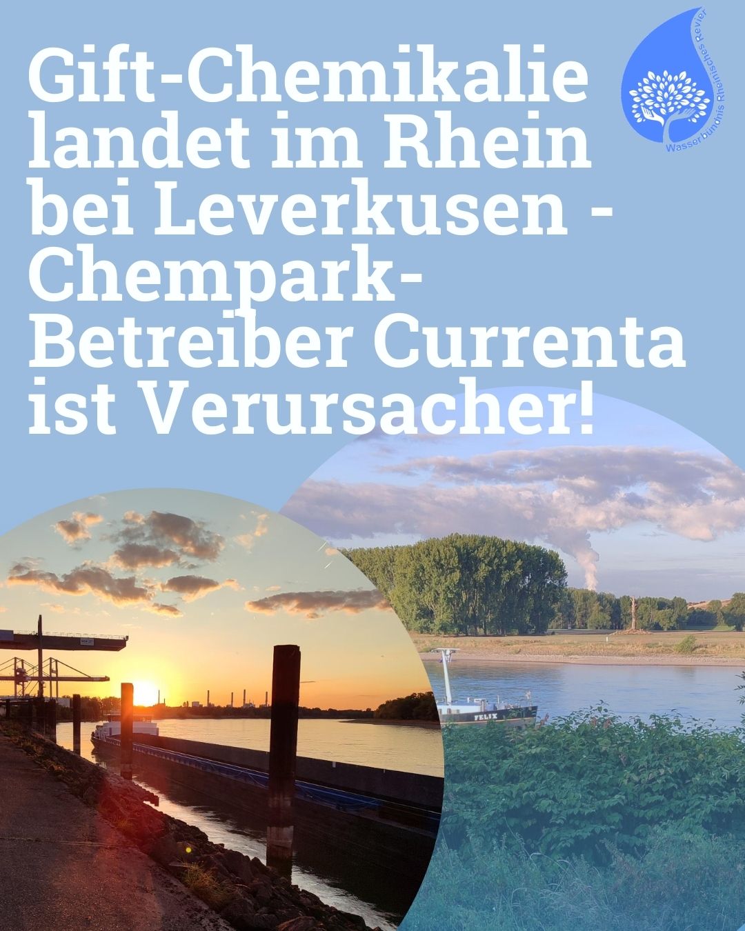 Gift-Chemikalie landet im Rhein bei Leverkusen – Chempark-Betreiber Currenta ist Verursacher!