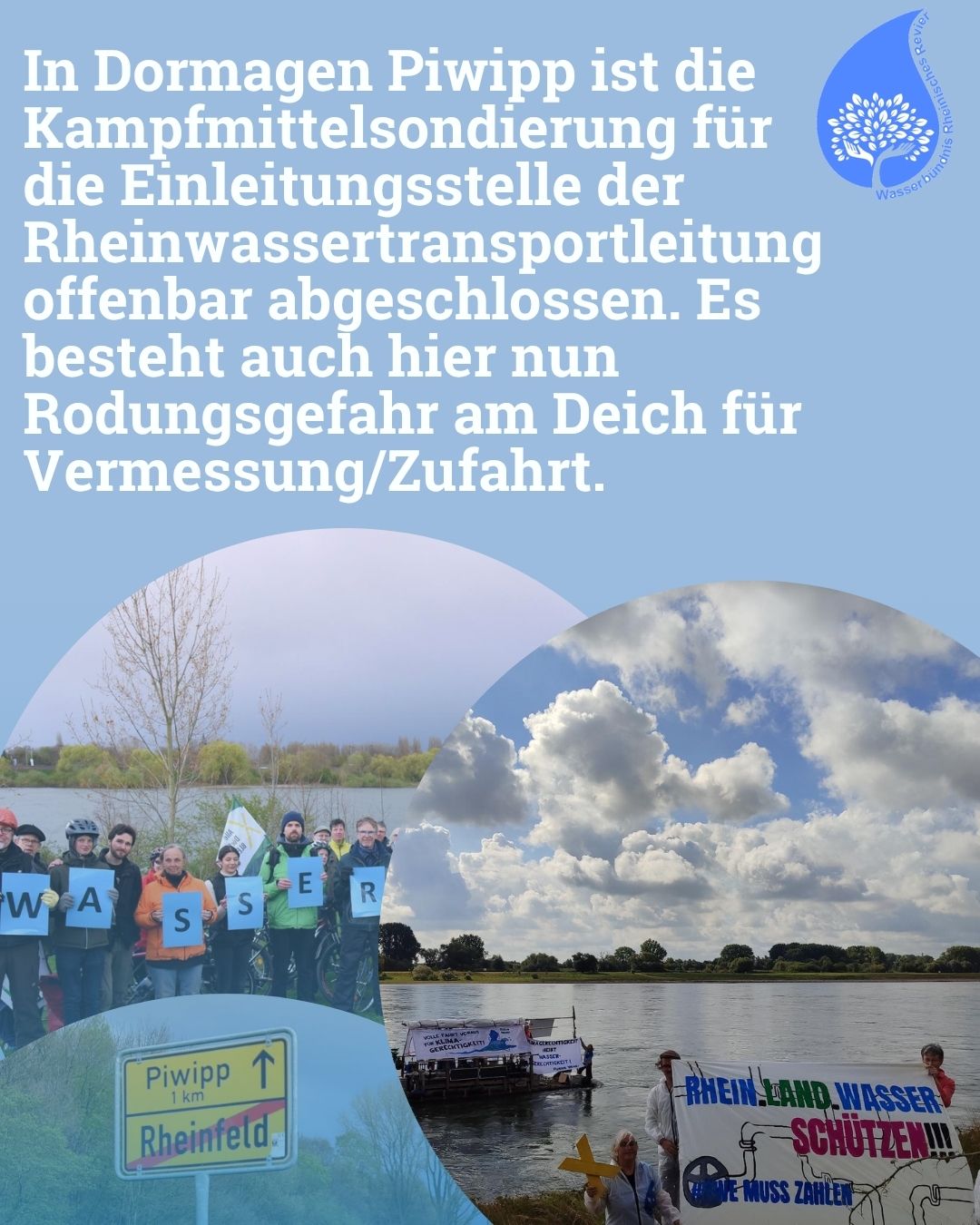 Rodungsgefahr am Deich in Dormagen Piwipp!?