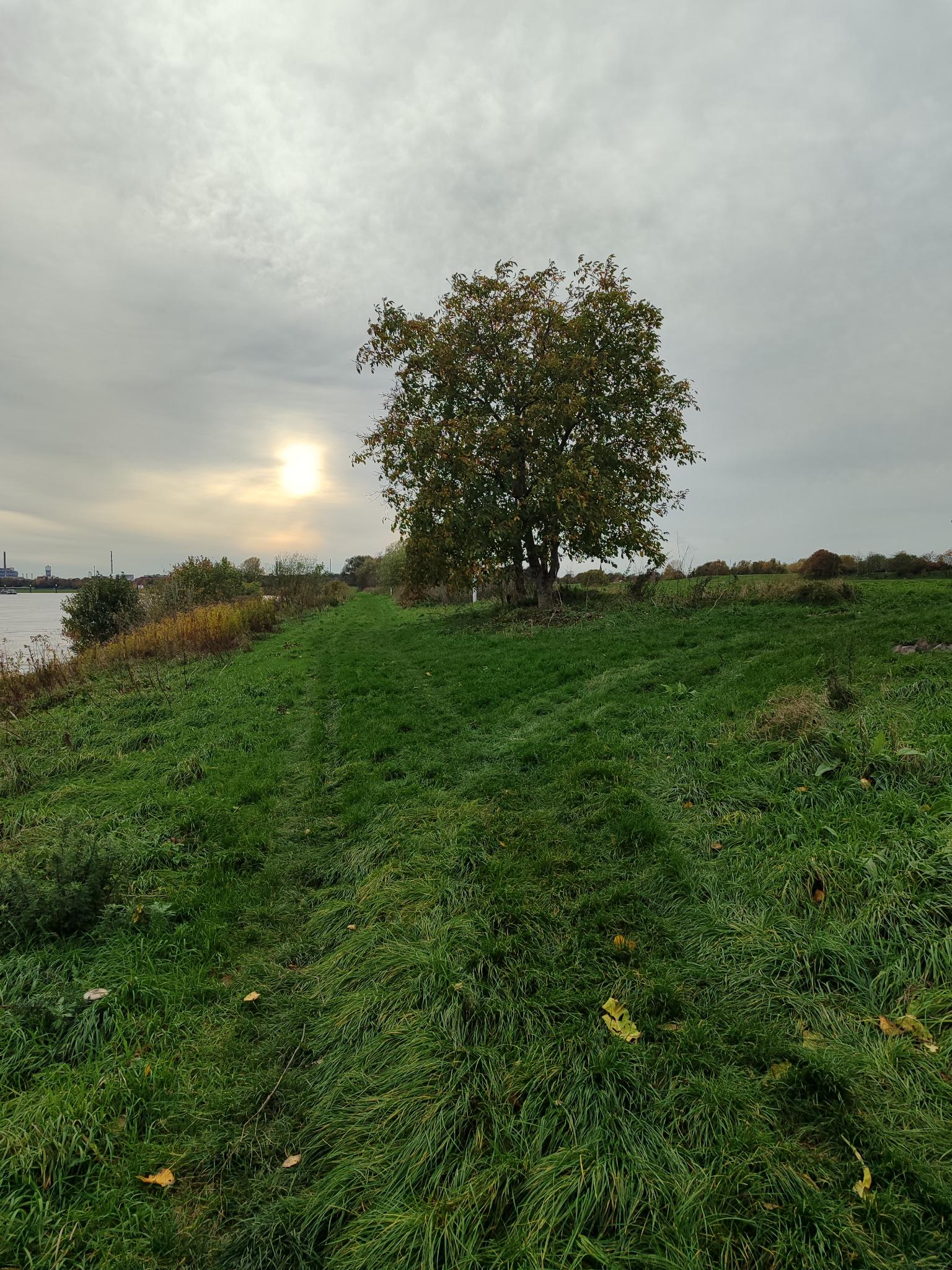 Ruhe vor dem Bau – RWE und das Rheinwasser