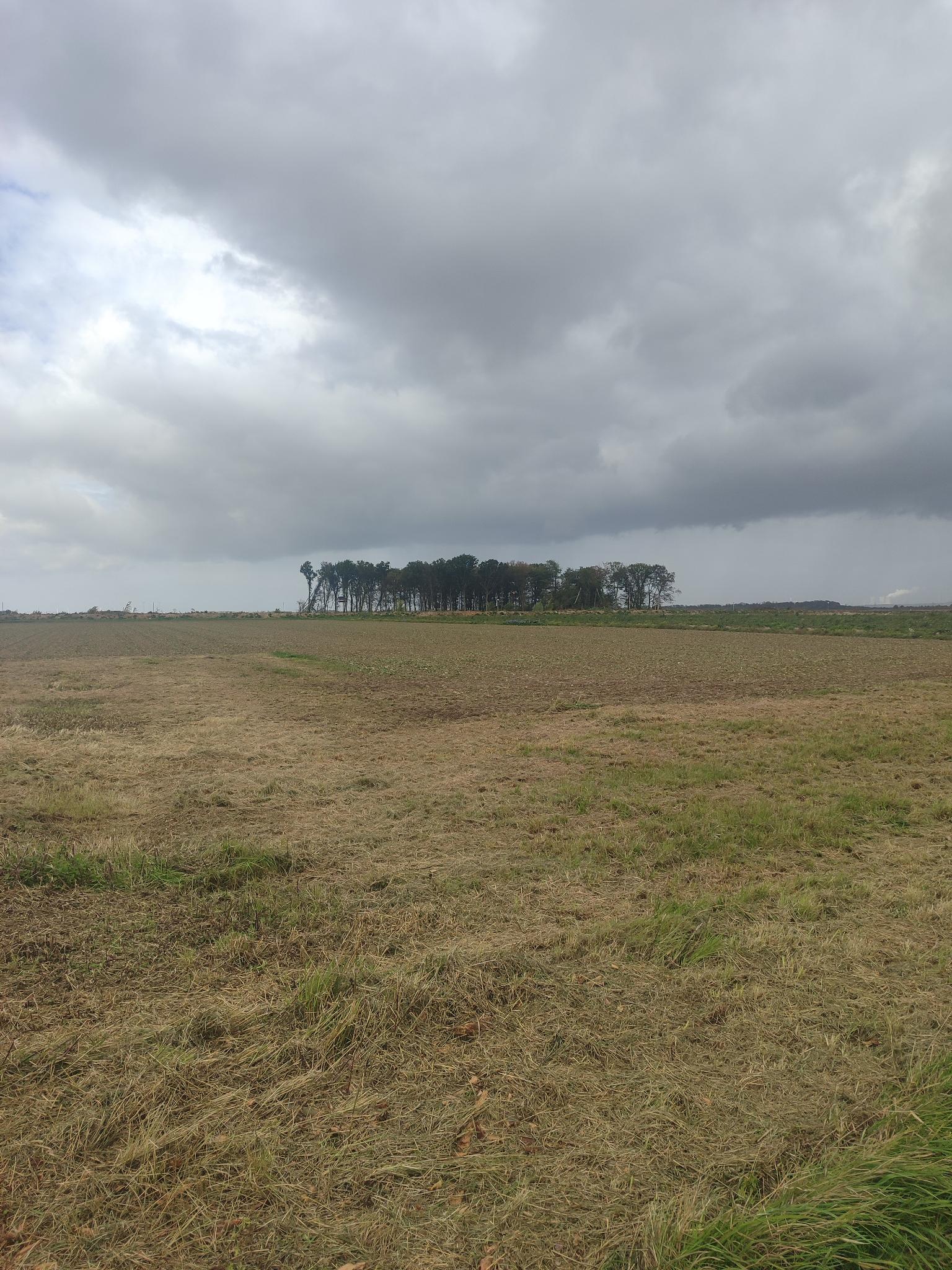 Rückblick zur Pressekonferenz anlässlich der Rodungssaison am Sündenwäldchen