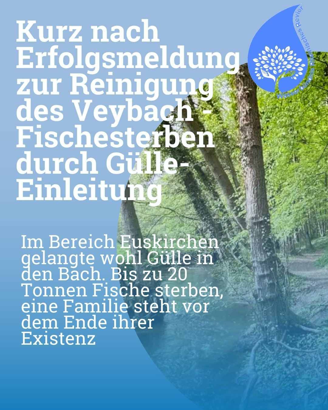 Gewässerschutz auf dem Papier – und Gülle im Bach